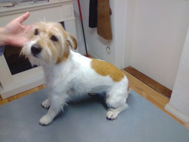 58629930_821970088159765_467186777019383808_n