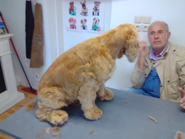 60789327_363011700991602_7910916549018386432_n