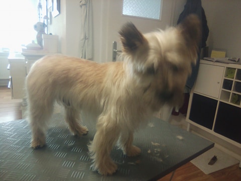 71372760_1197227093810388_6098998975027740672_n