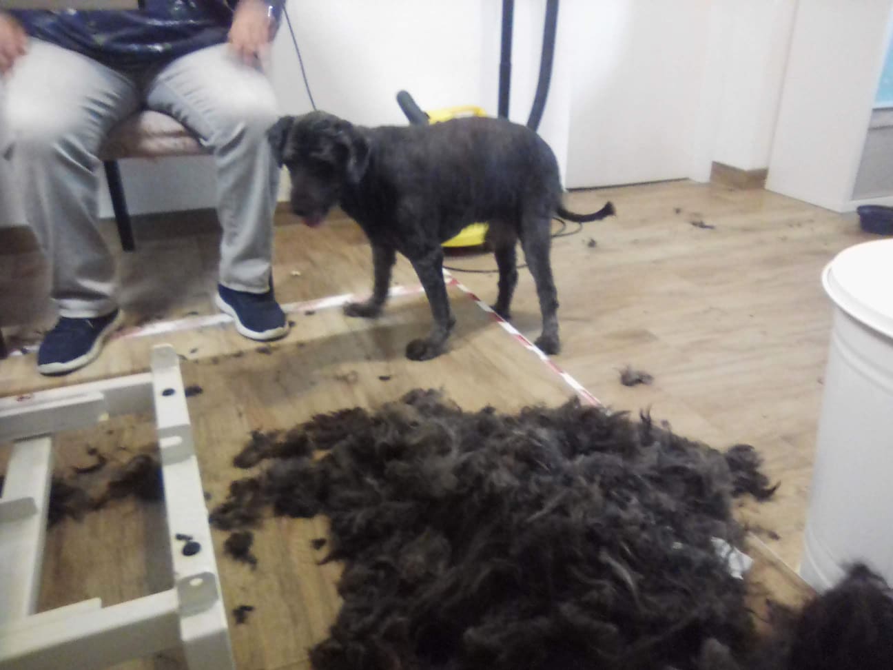 266658328_305885354782147_3594650526107677795_n