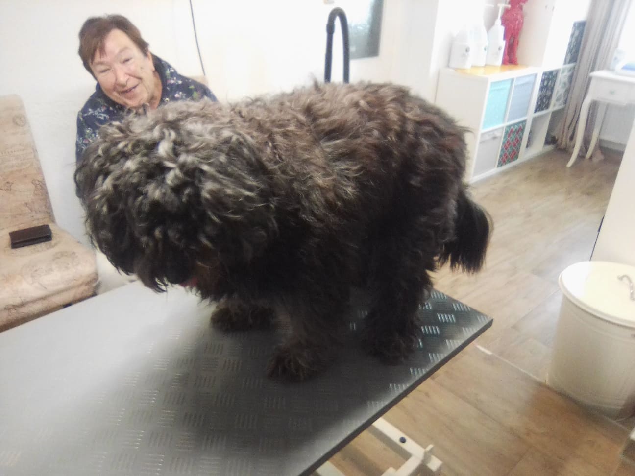 267524965_376438277610802_1343182053894484703_n